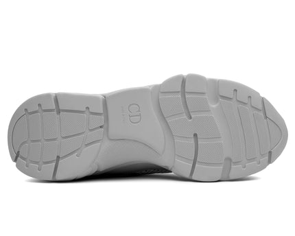 Dior B22 Grey