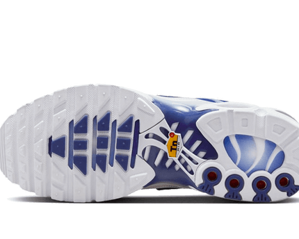 Nike® Air Max Plus Blue Fade